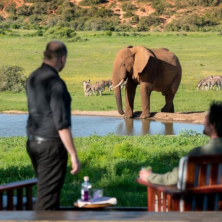 Gorah Elephant Camp Аддо Экстерьер фото