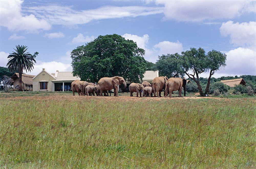 Gorah Elephant Camp Аддо Экстерьер фото