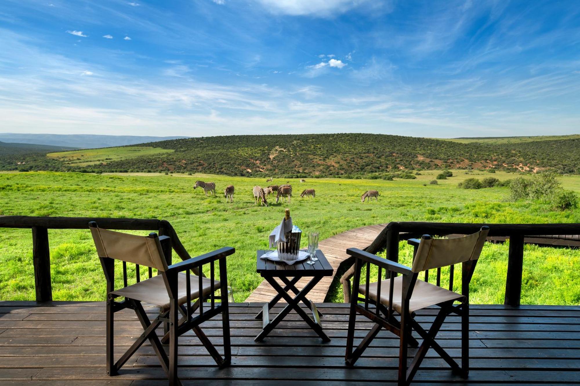Gorah Elephant Camp Аддо Экстерьер фото