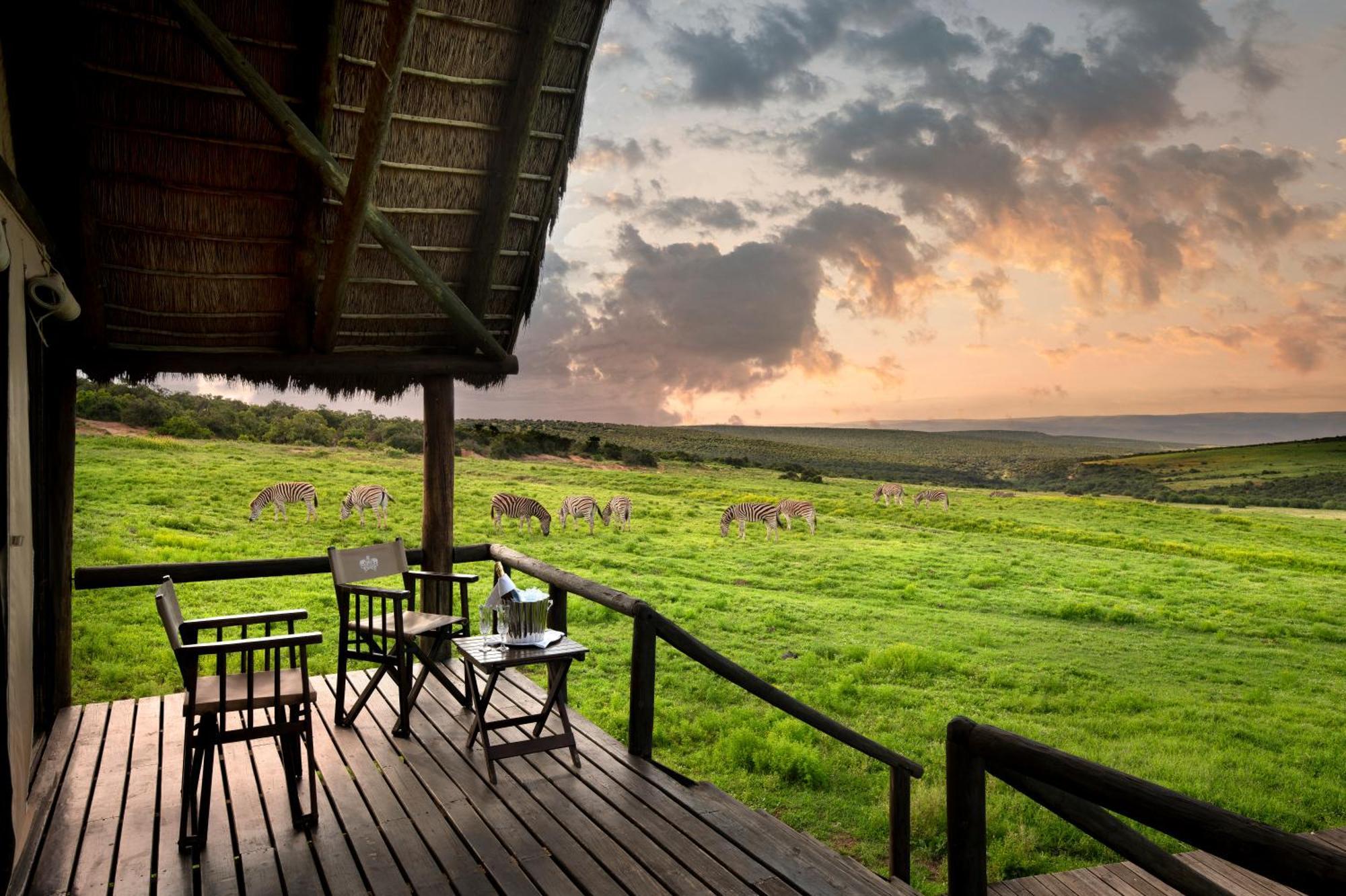 Gorah Elephant Camp Аддо Экстерьер фото
