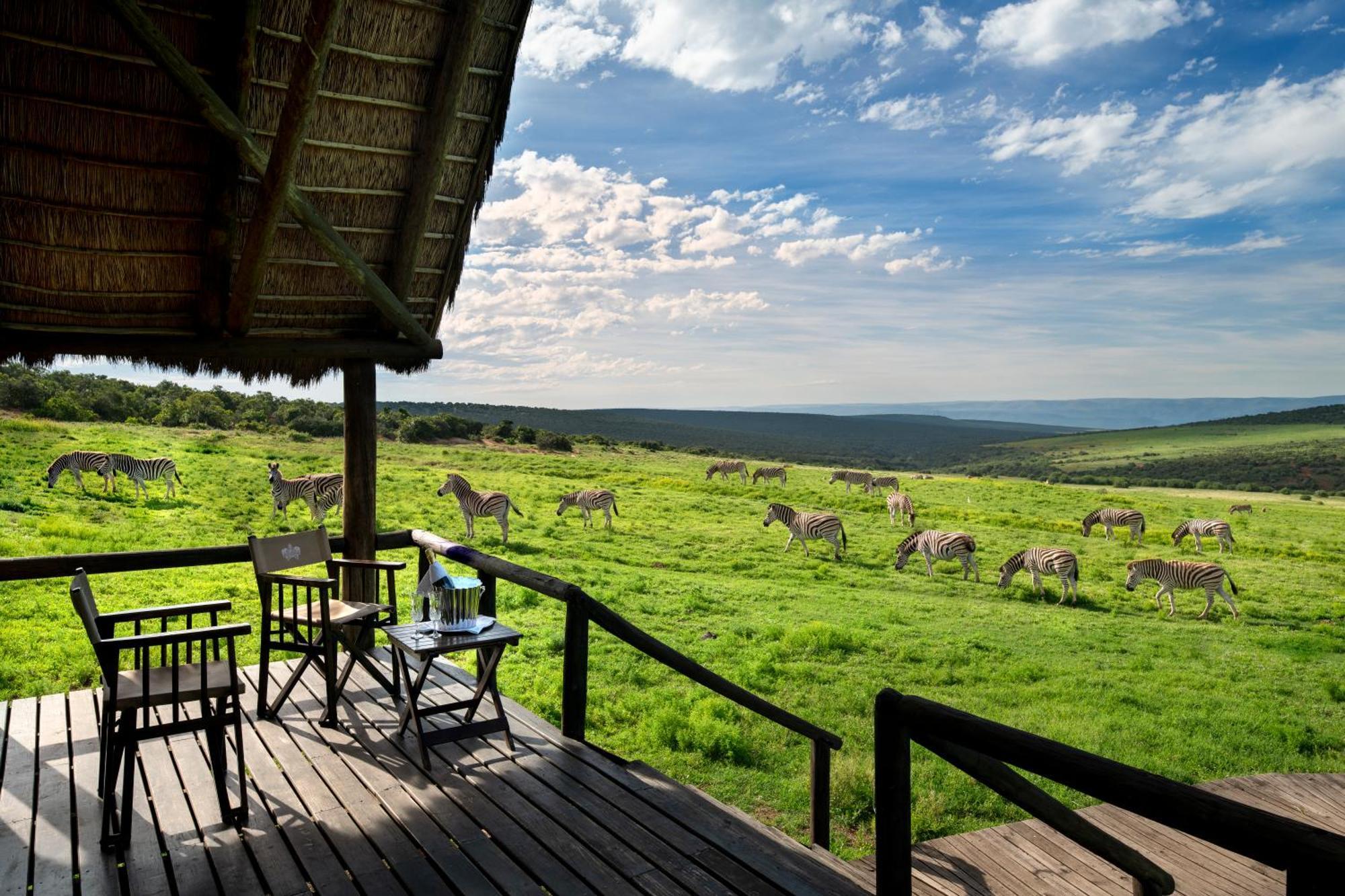 Gorah Elephant Camp Аддо Экстерьер фото
