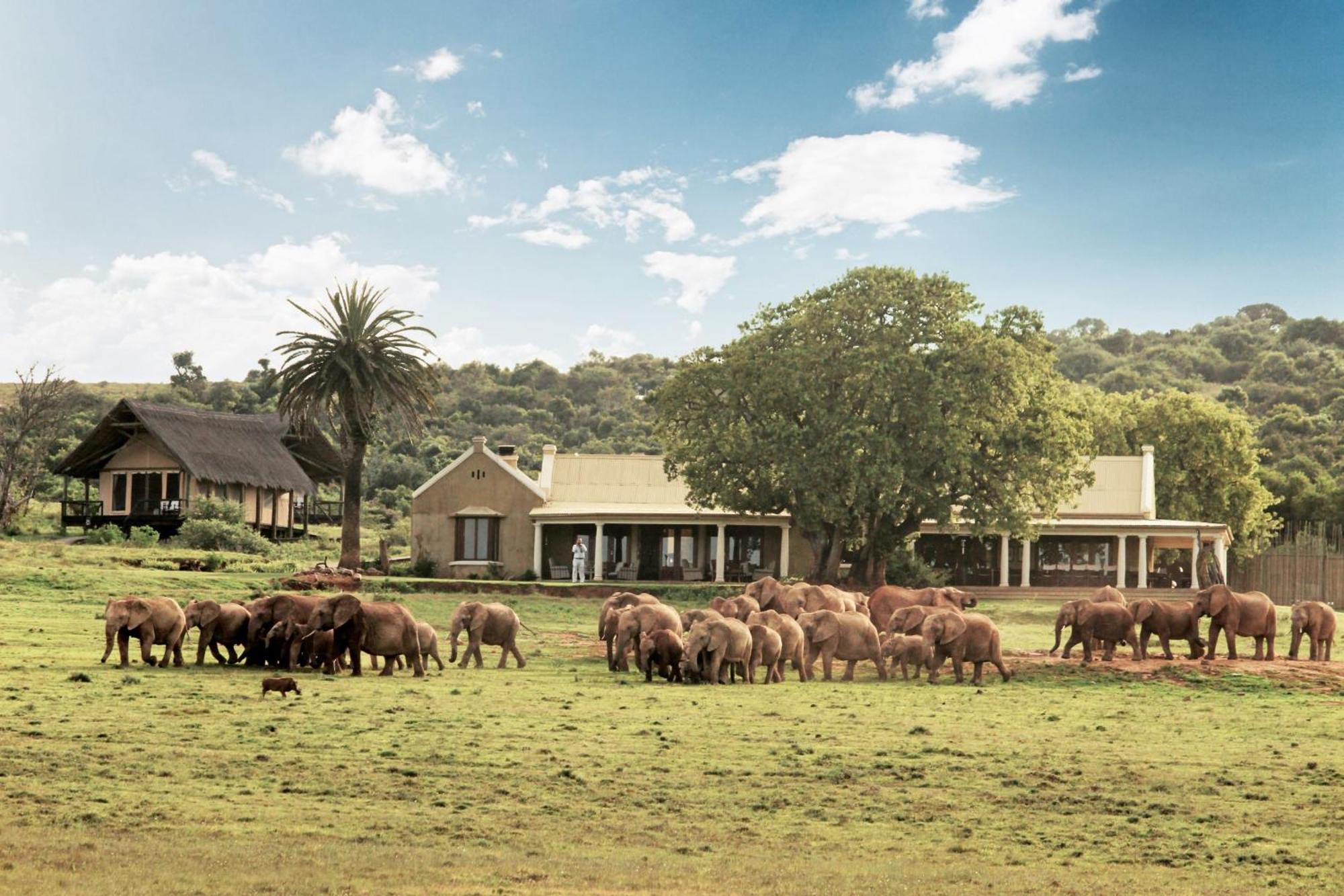 Gorah Elephant Camp Аддо Экстерьер фото