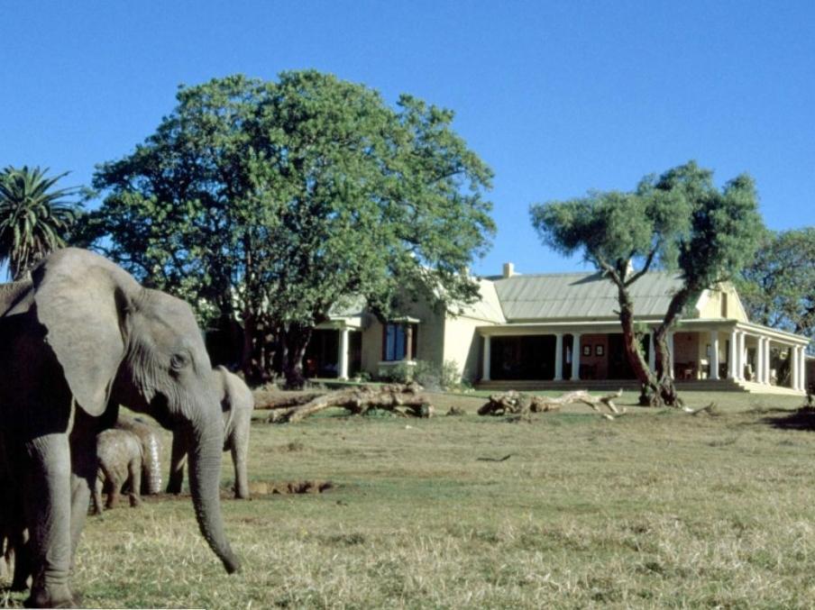 Gorah Elephant Camp Аддо Экстерьер фото